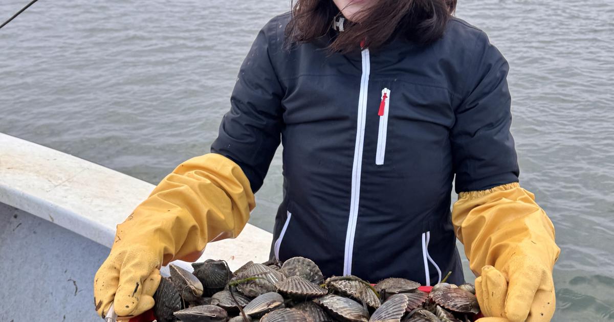 Shell Lifestyle Heritage, livelihood identity on the half-shell | Lifestyle | ack.net