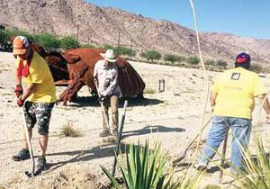 Tribe and Edison volunteers work for desert tortoise | | adowl ...