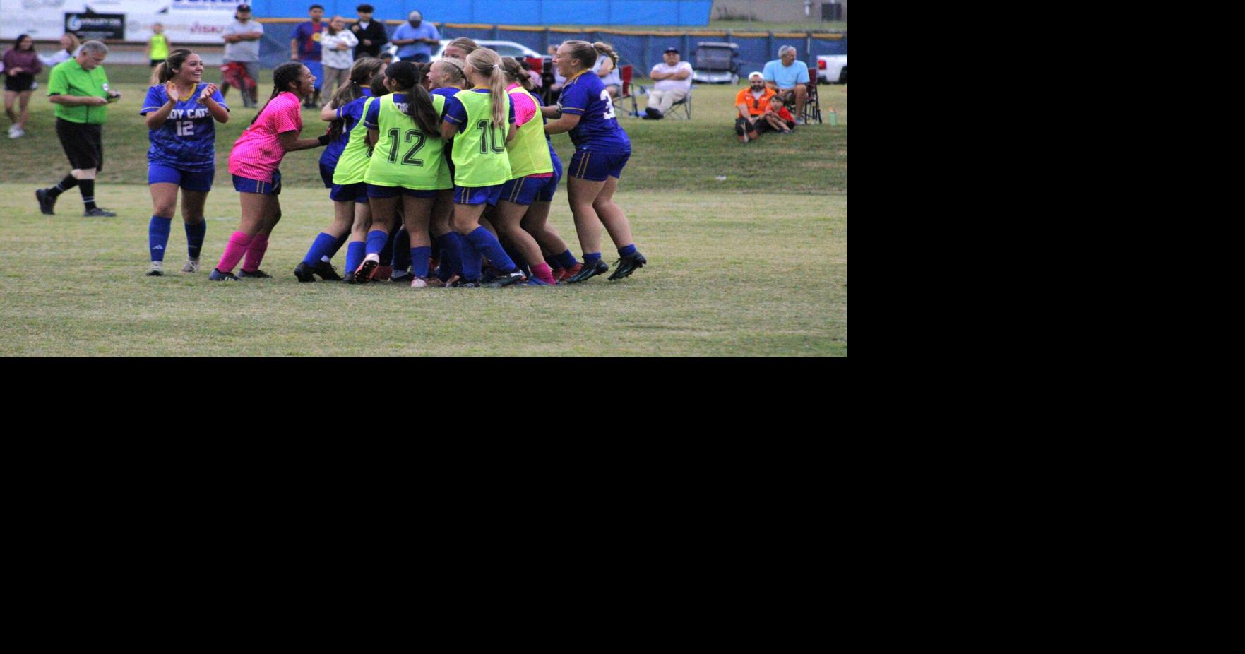 Sweetwater new faces not short on expectations for this fall