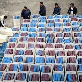 Nepal launches campaigns for first post - uprising polls