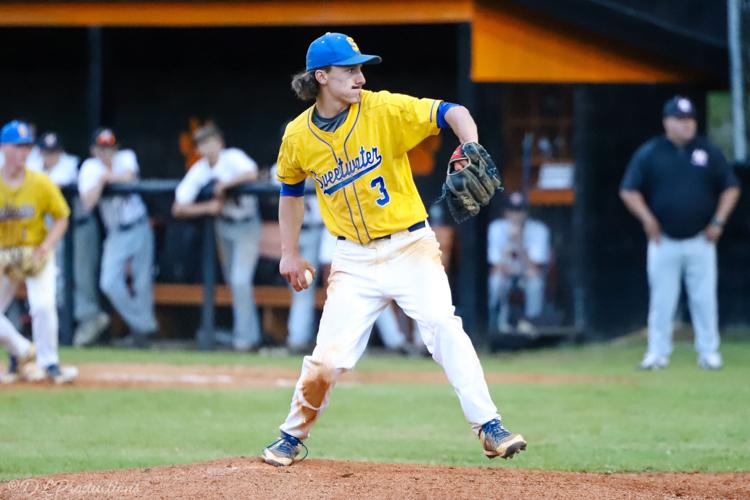 Record breaking seasons, stats define Monroe County baseball Sports
