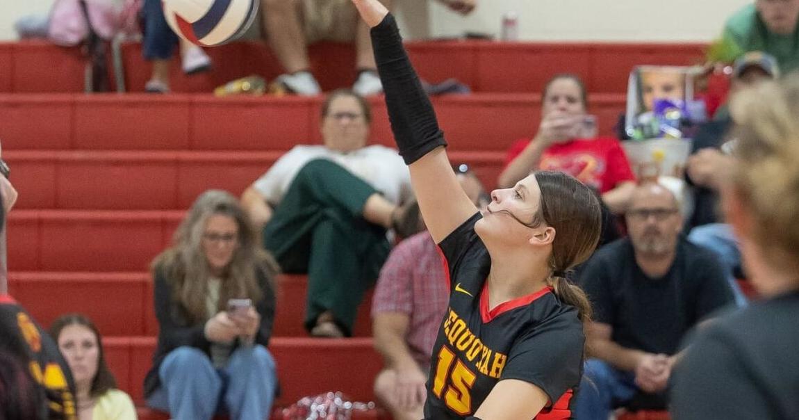 Sequoyah takes set off Alcoa, but season ends in district semifinal