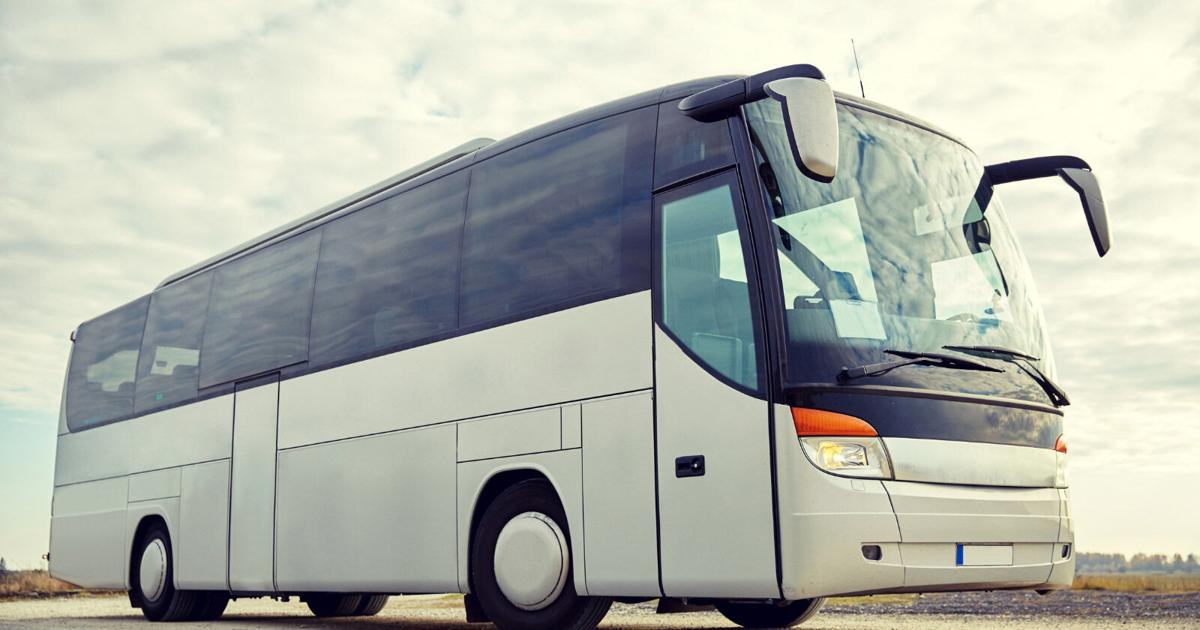 Tribal Programs. Bus South Carolina Native American Committee to host Tribal Bus Tour ...