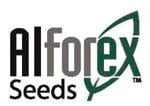 Alforex Seeds