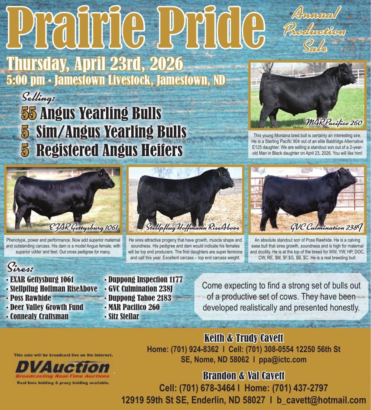 PRAIRIE PRIDE ANGUS - Ad from 2026-04-03