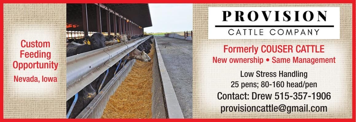 Provision Cattle