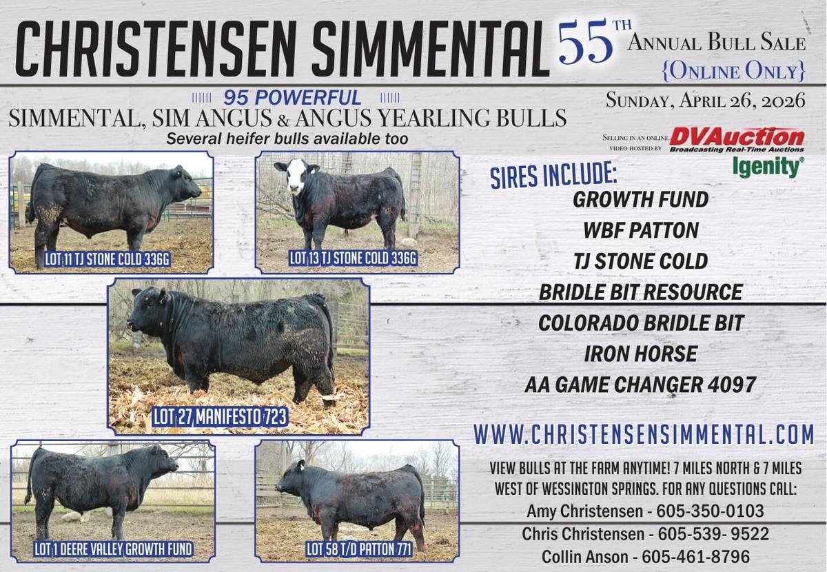 Christensen Simmental - Ad from 2026-04-17
