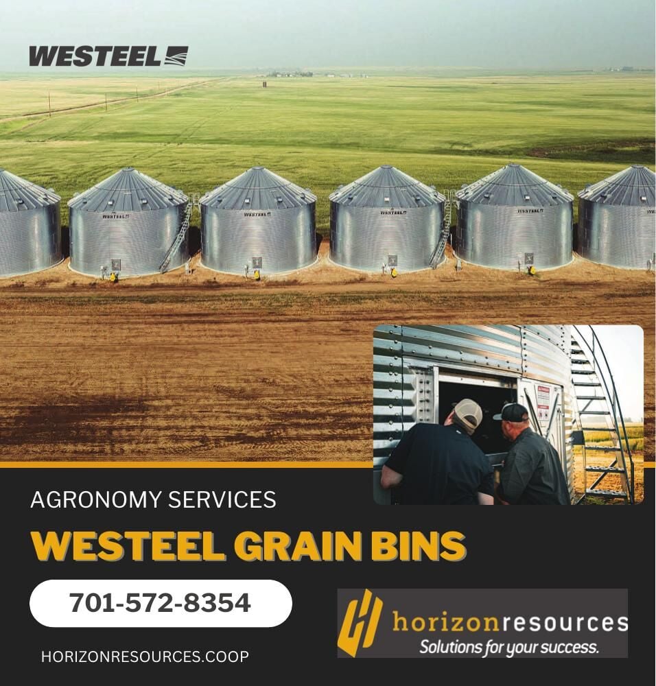 Delux Digtial Agency - Ad from 2026-04-17