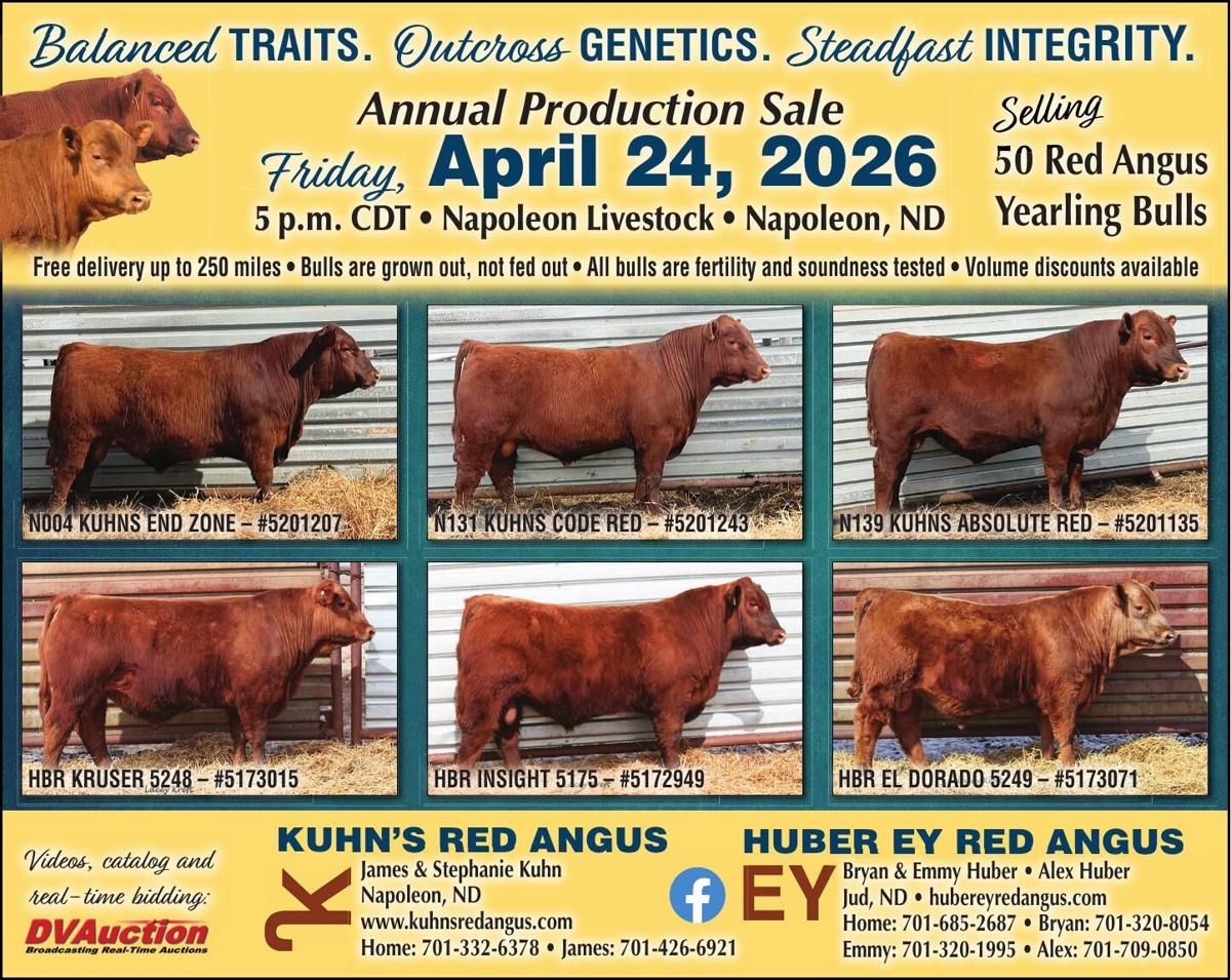 HUBER EY RED ANGUS - Ad from 2026-04-03