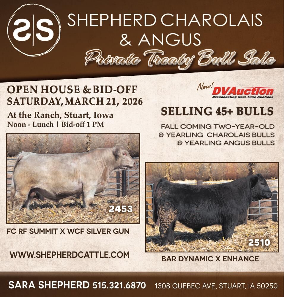 Sara Shephard - Ad from 2026-03-06