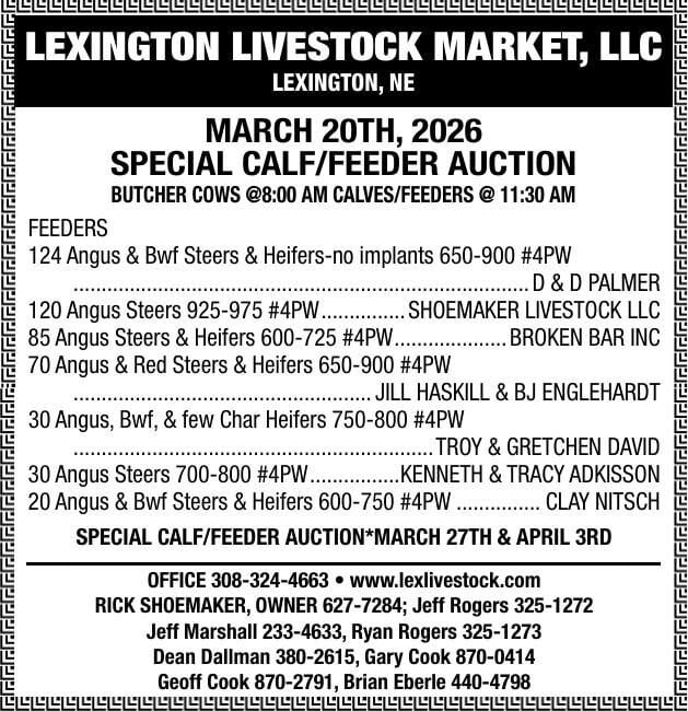 Lexington Livestock Market