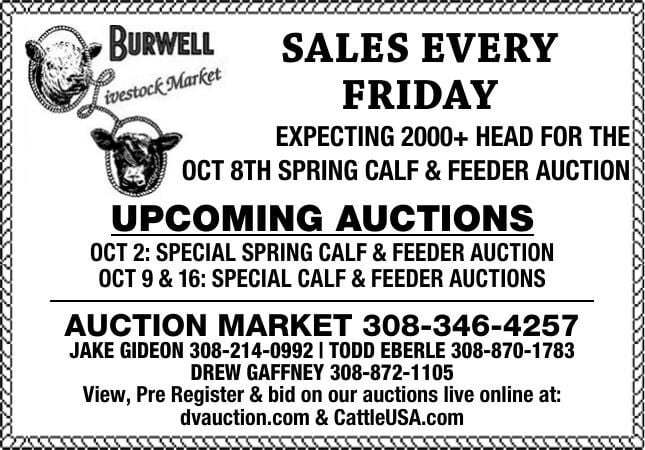 Burwell Livestock Market