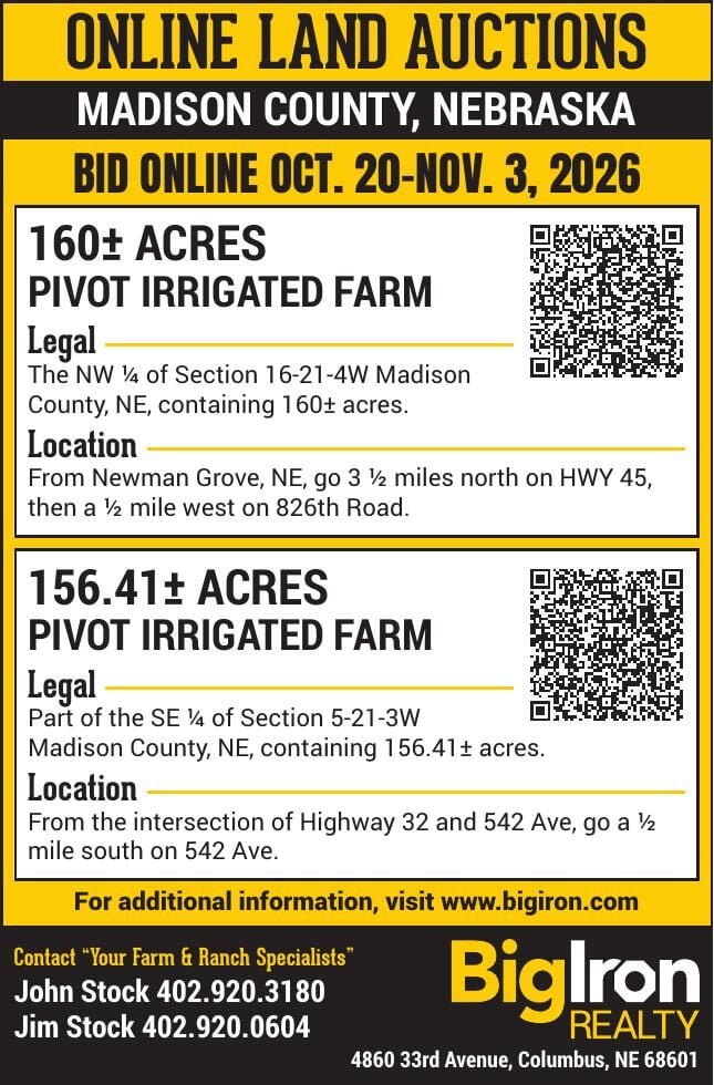 Big Iron Realty