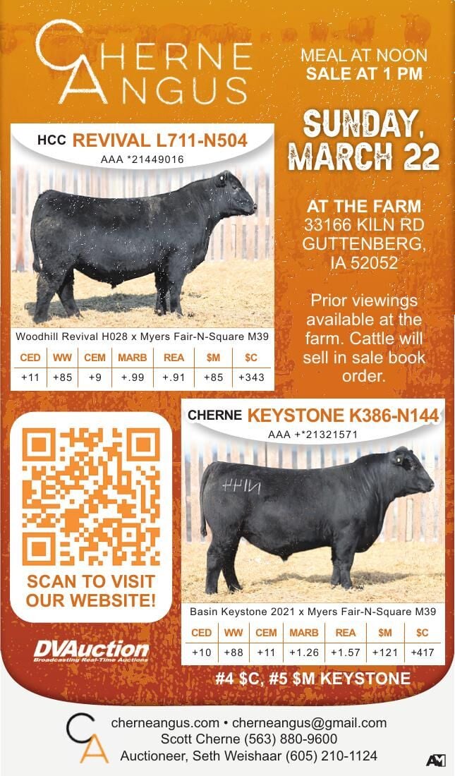 CHERNE ANGUS LLC - Ad from 2026-03-19