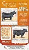 CHERNE ANGUS LLC - Ad from 2026-03-19