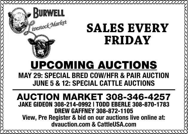 Burwell Livestock Market