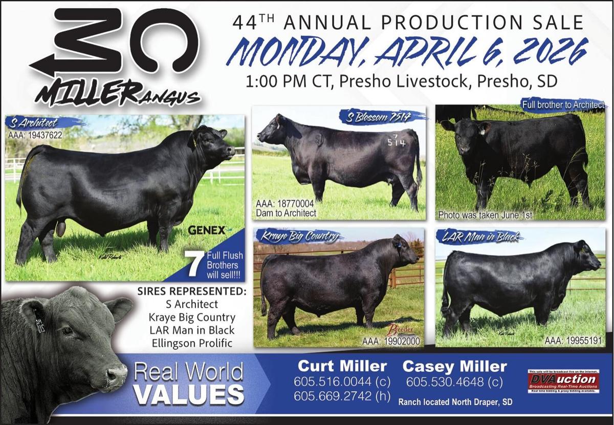 CURT MILLER - MILLER ANGUS - Ad from 2026-03-20