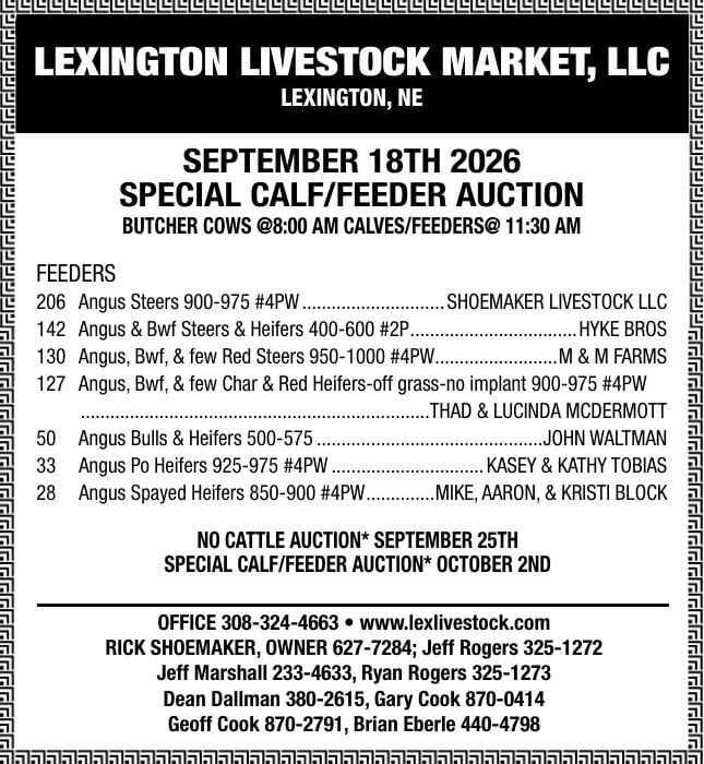 Lexington Livestock Market