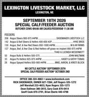 Lexington Livestock Market