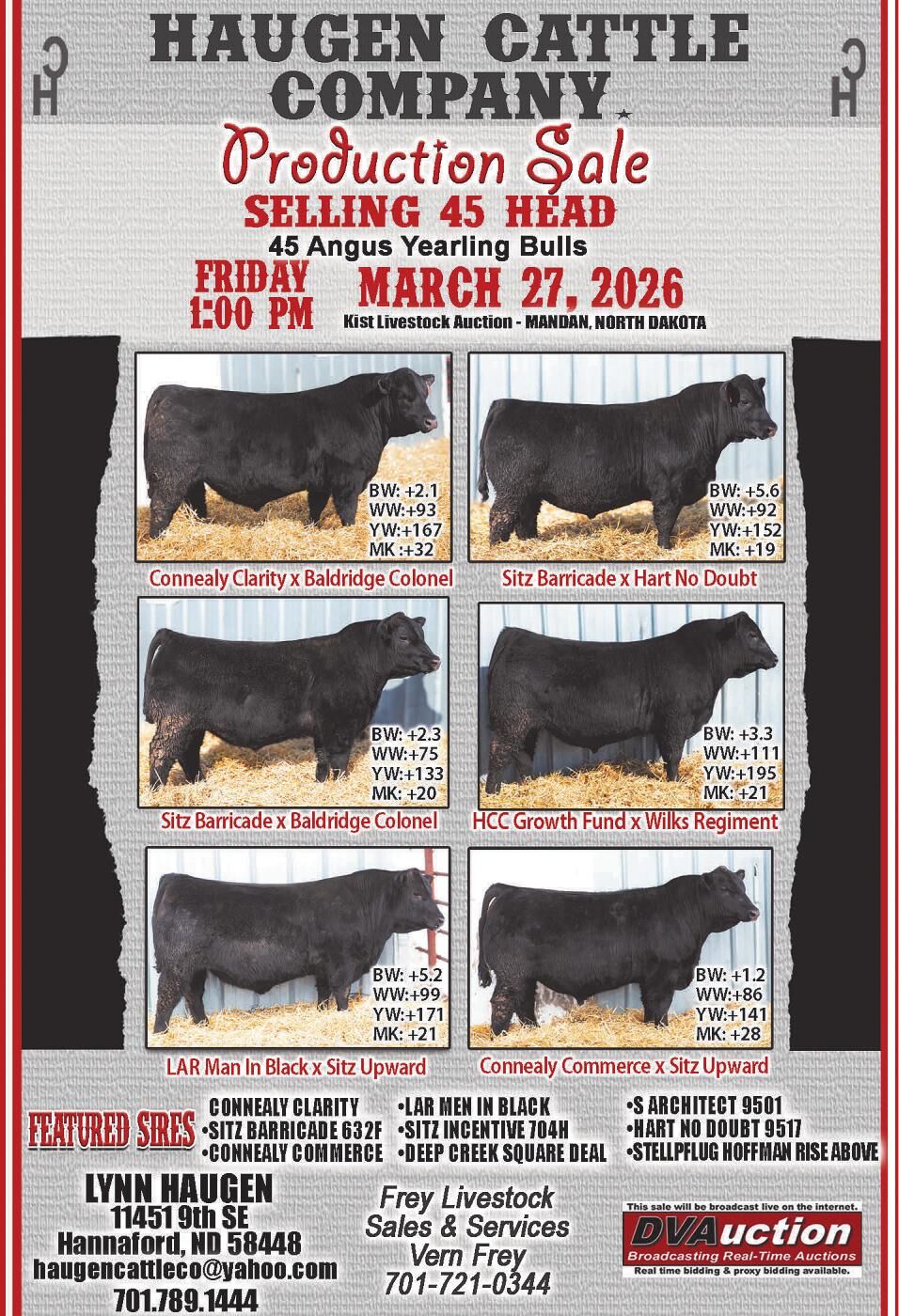 HAUGEN CATTLE CO - Ad from 2026-03-06