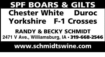 RANDY F SCHMIDT - Ad from 2026-03-14