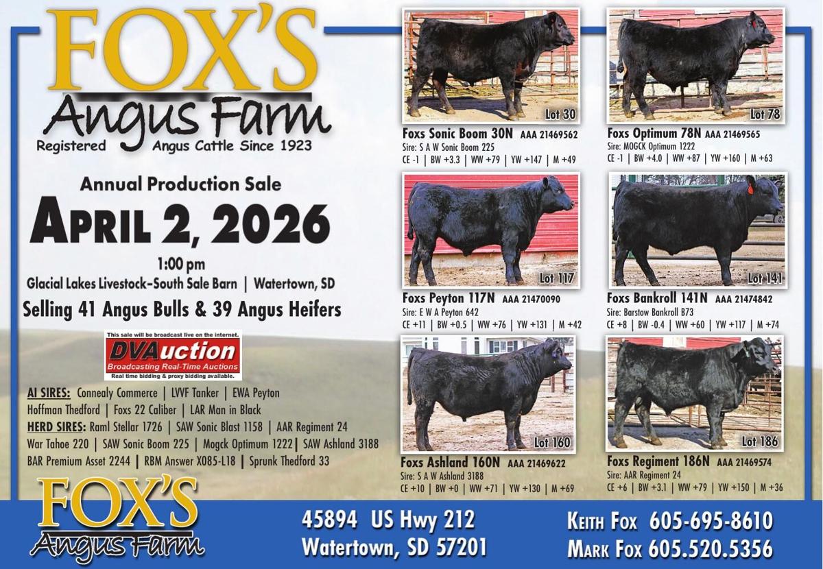 FOX ANGUS - Ad from 2026-03-20