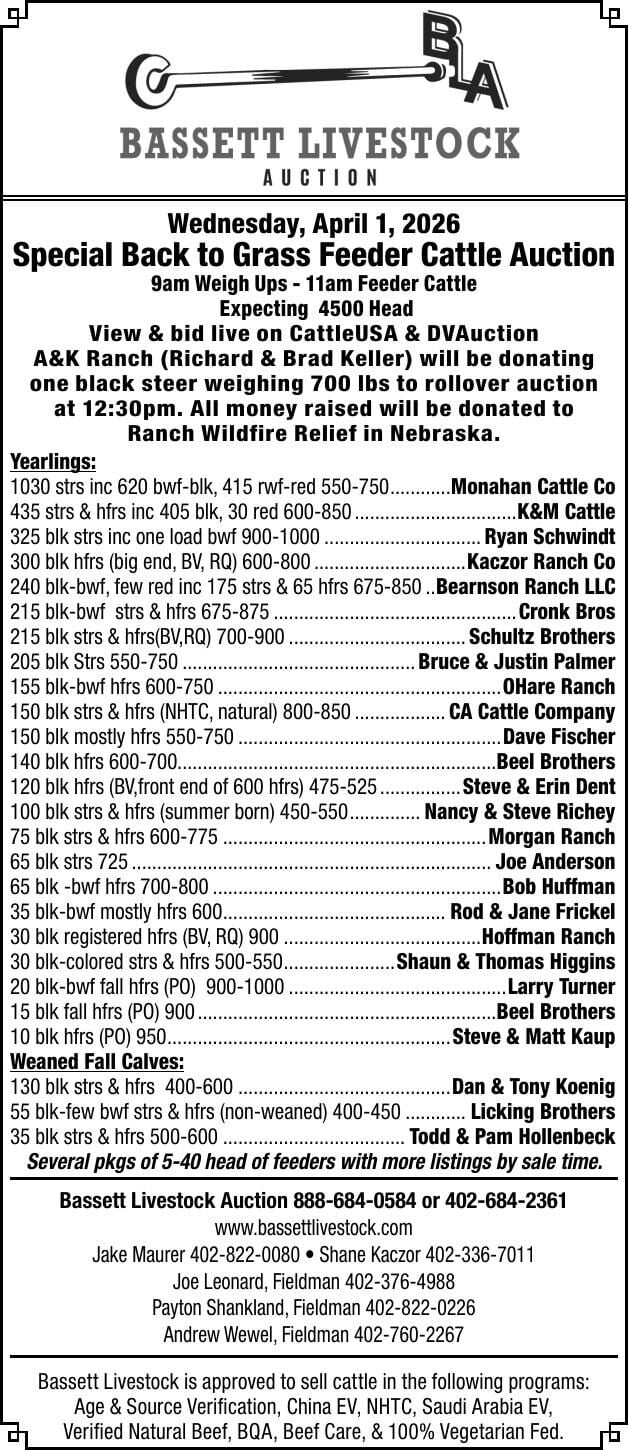 Bassett Livestock Auction