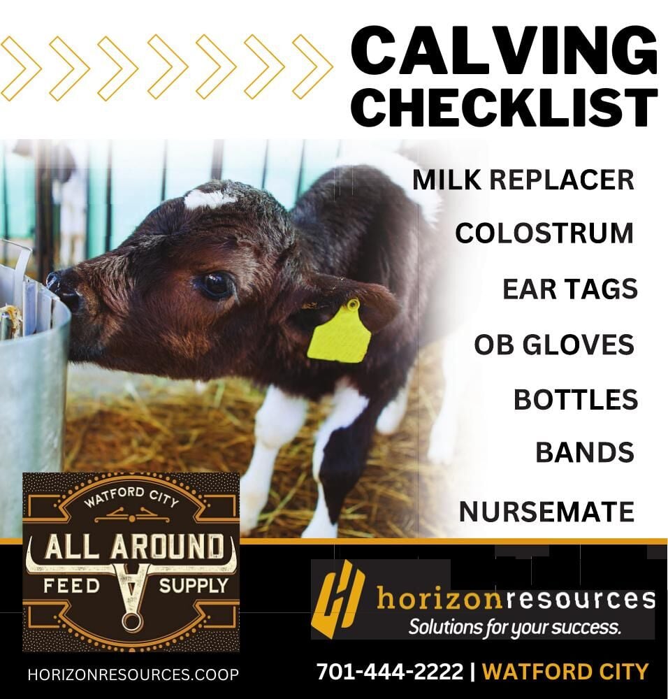 Delux Digtial Agency - Ad from 2026-04-03