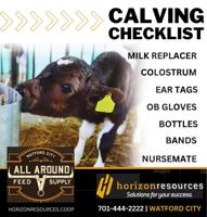 Delux Digtial Agency - Ad from 2026-04-03