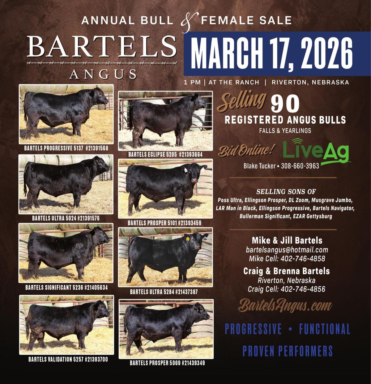 Bartels Angus - Ad from 2026-03-06