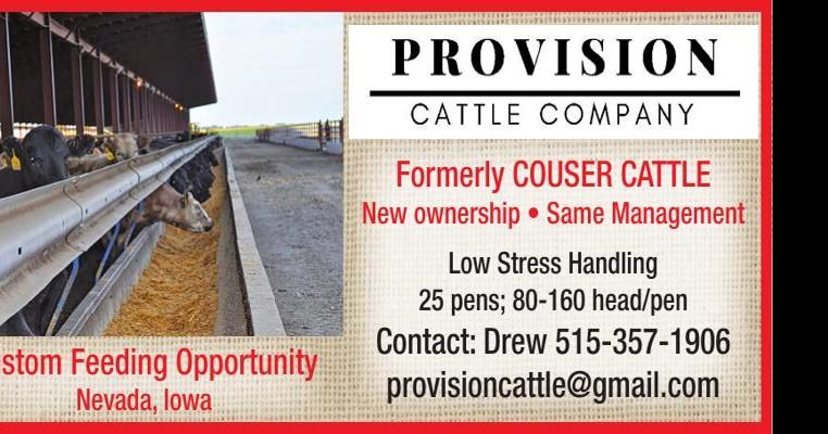 Provision Cattle Company