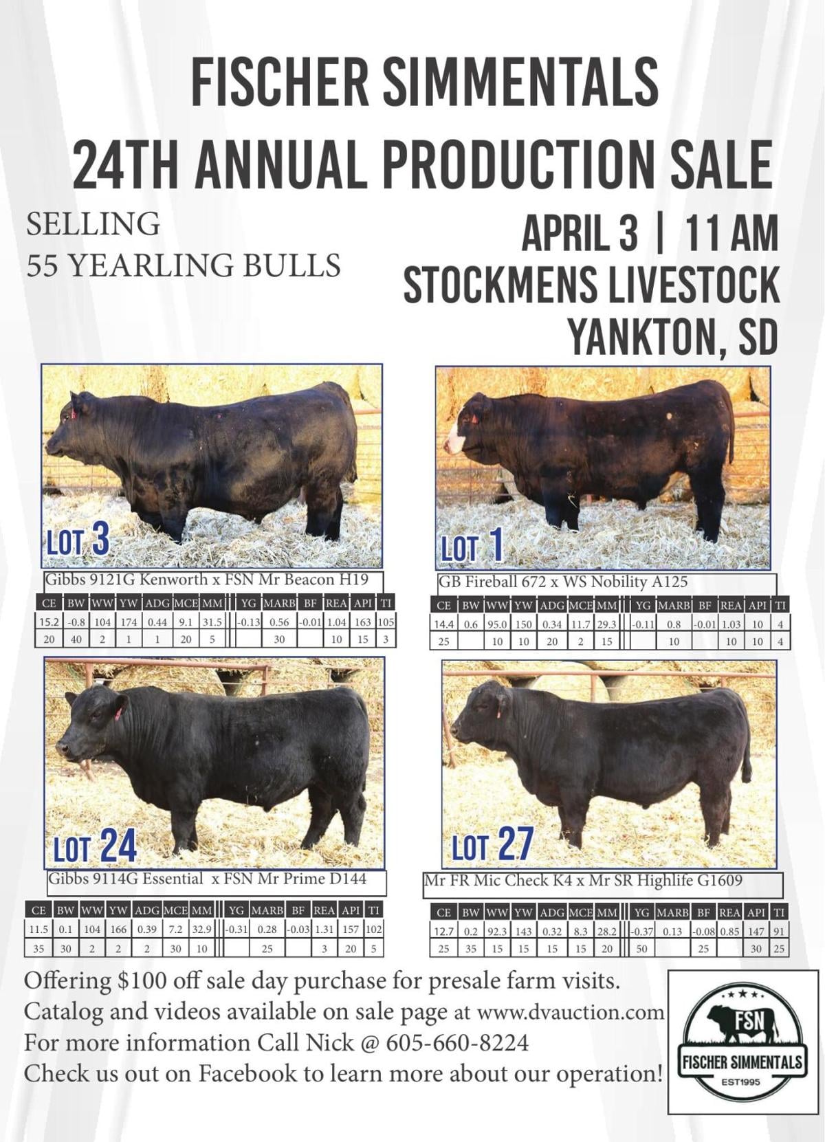 Fischer Simmentals - Ad from 2026-03-20