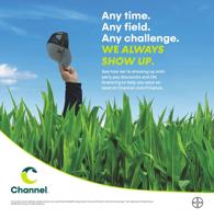 BAYER CROPSCIENCE CHANNEL SEED % RHEA & KAISER - Ad from 2025-08-30