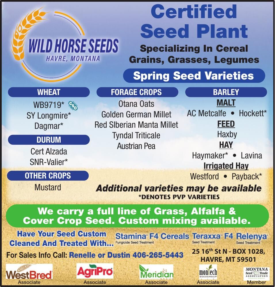 WILD HORSE SEEDS - Ad from 2026-05-15