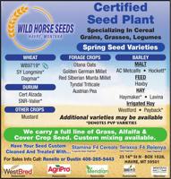 WILD HORSE SEEDS - Ad from 2026-05-15