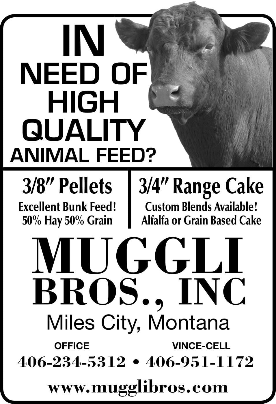 MUGGLI BROS INC - Ad from 2026-05-01