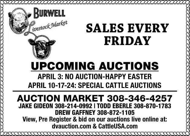 Burwell Livestock Market