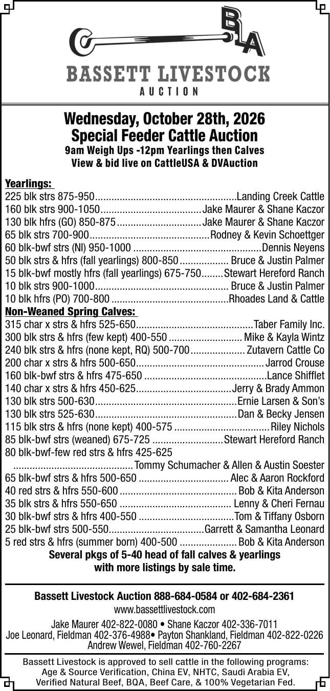 Bassett Livestock Auction