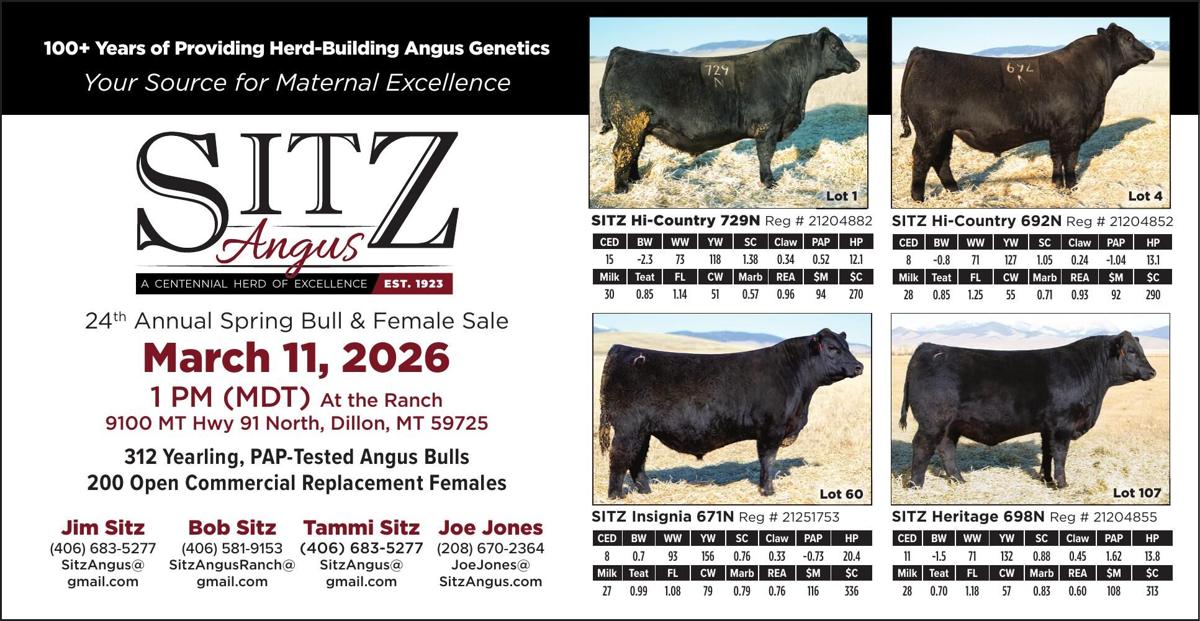 SITZ ANGUS RANCH - Ad from 2026-03-06