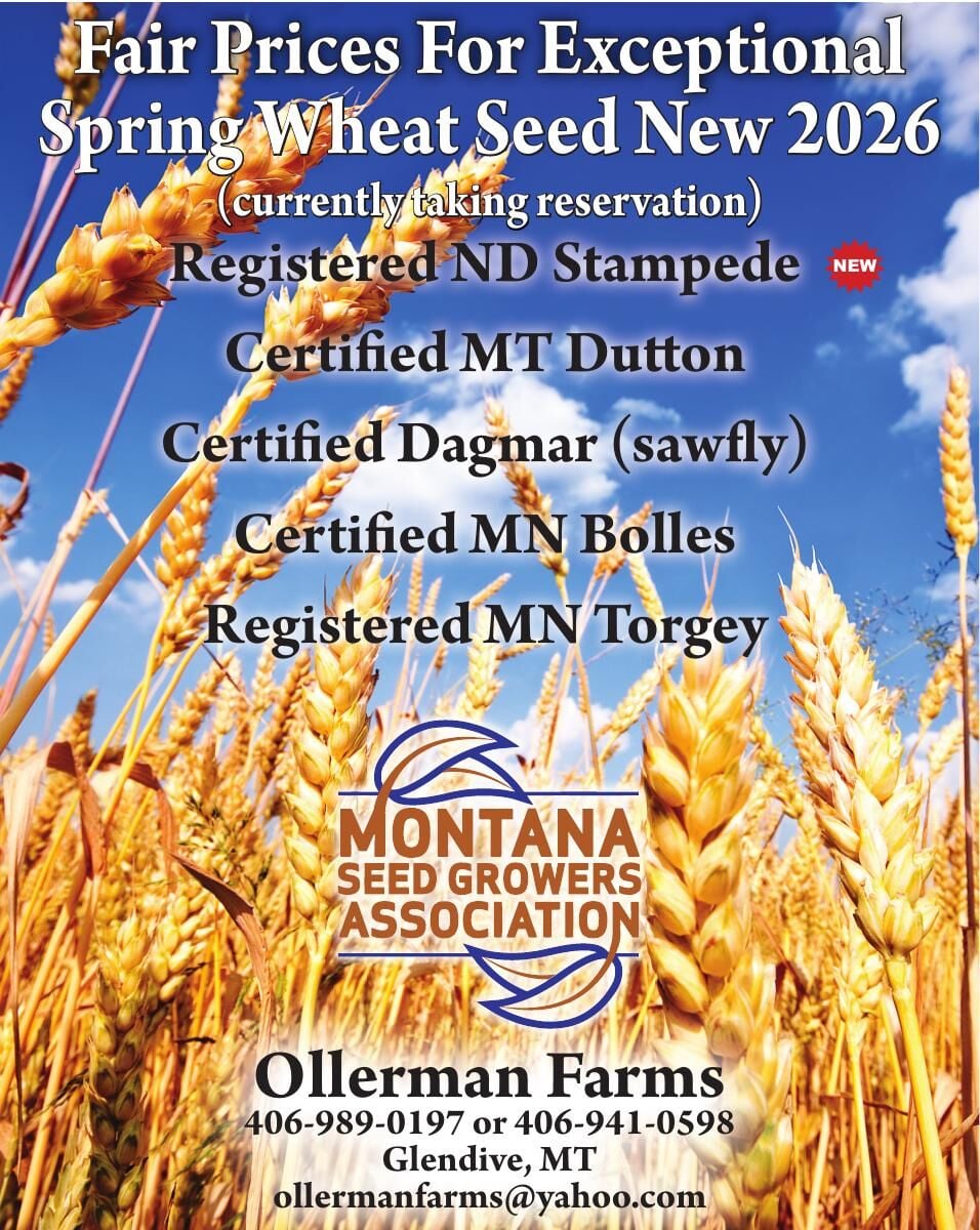 OLLERMAN FARMS - Ad from 2026-04-03