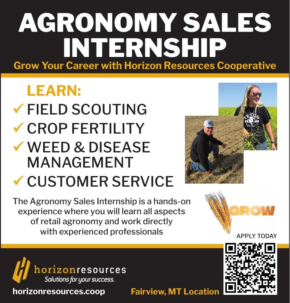 Delux Digtial Agency - Ad from 2026-03-20