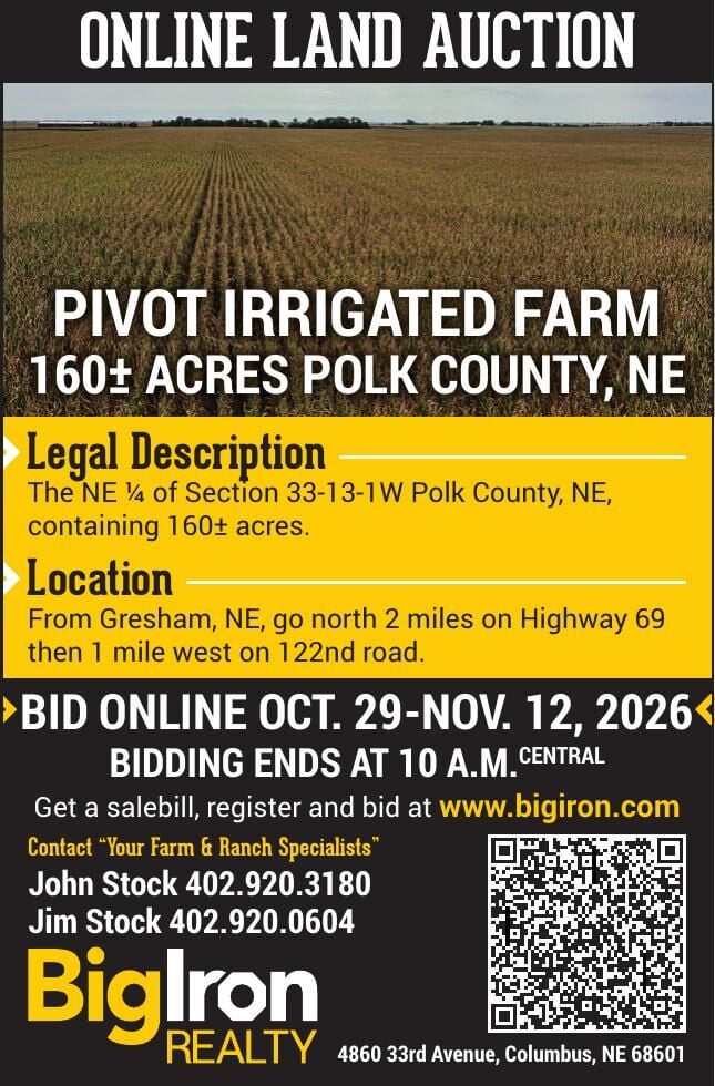 Big Iron Realty