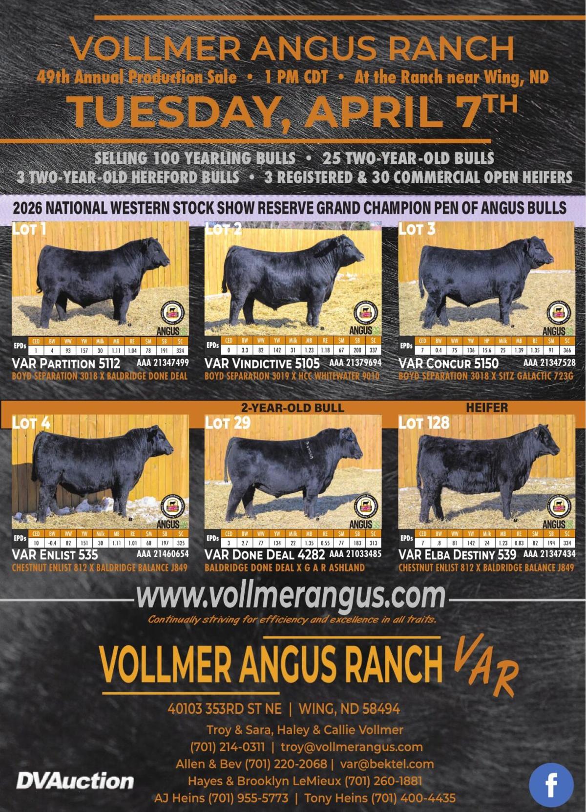 VOLLMER ANGUS RANCH - Ad from 2026-03-20