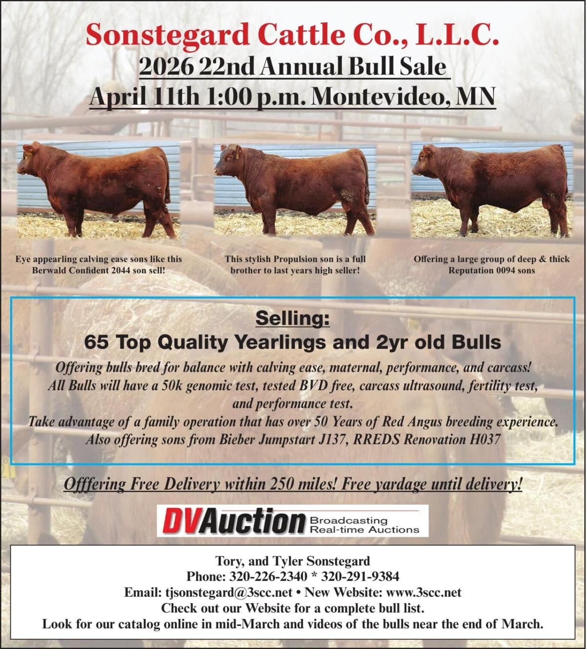 SONSTEGARD CATTLE - Ad from 2026-04-03