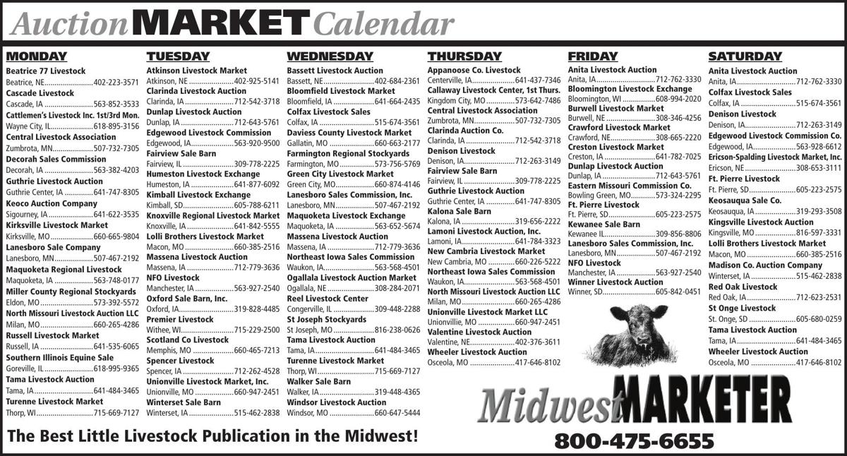 Auction Market Calendar