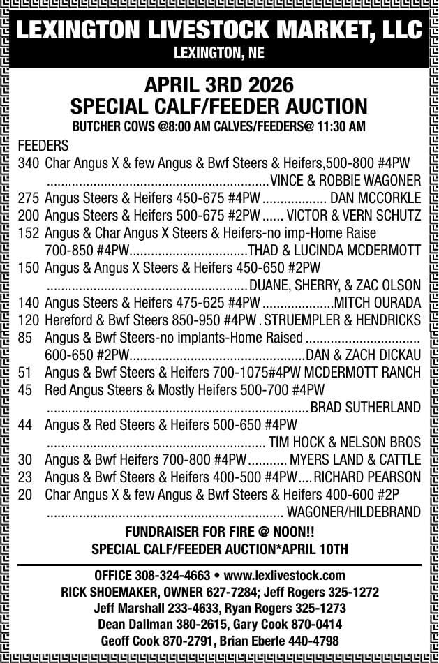 Lexington Livestock Market