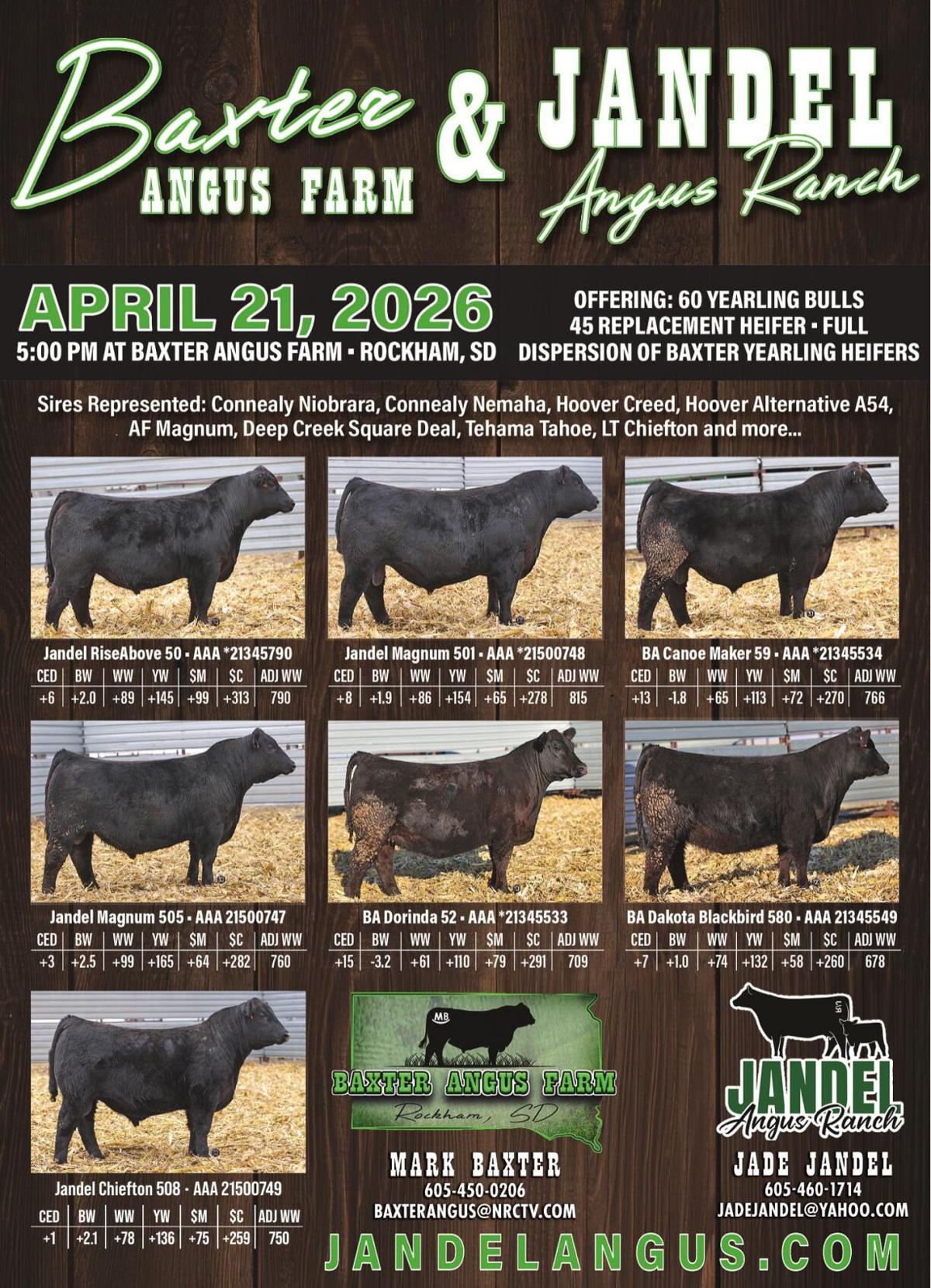 BAXTER ANGUS FARM - Ad from 2026-04-17