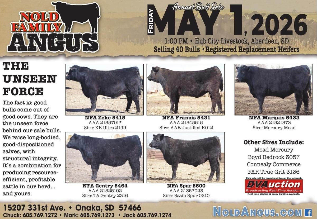 NOLD FAMILY ANGUS - Ad from 2026-04-17