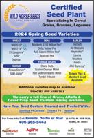 WILD HORSE SEEDS - Ad from 2024-05-03