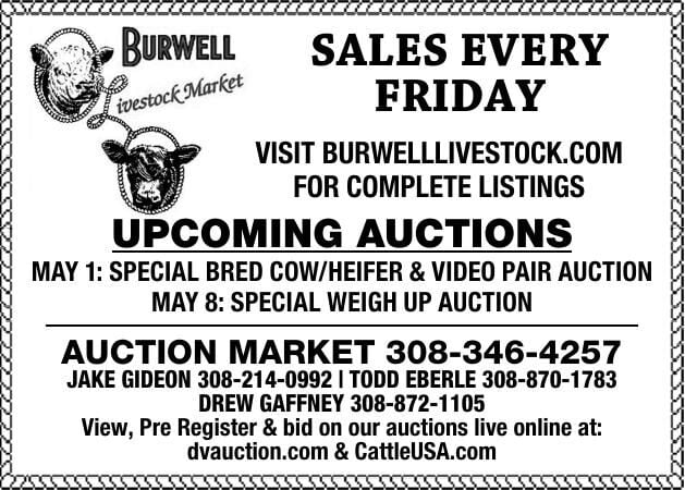 Burwell Livestock Market